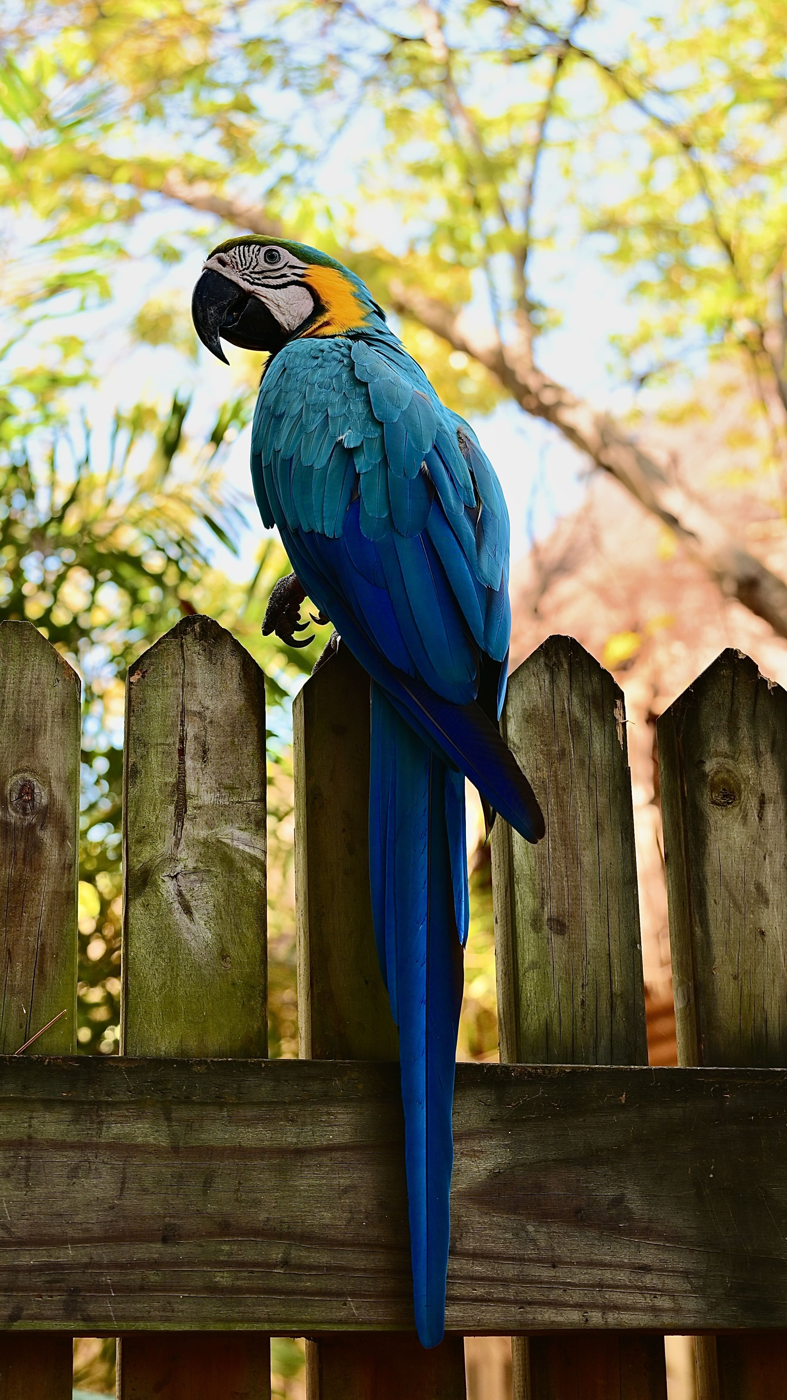 an17